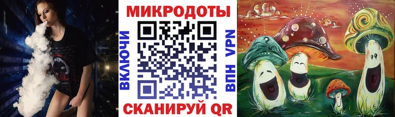 закладка  Рошаль  Галлюциногенные грибы ЛСД 